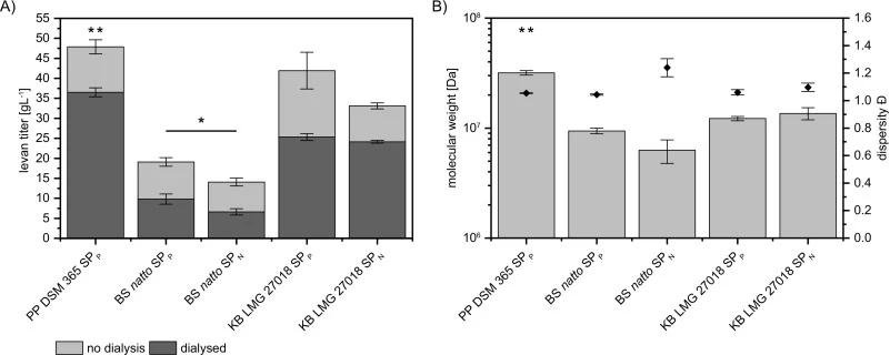 Signal peptide effect on levan production and structure. (A) Levan titers of P. polymyxa strains harboring levansucrase genes from B. subtilis subsp. natto (BS natto) and Kozakia baliensis LMG 27018 (KB LMG 27018) with either the signal peptide from P. polymyxa (SPP) or the signal peptide from their