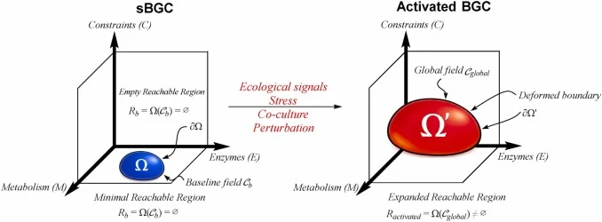 生物合成激活的三轴模型。可达化学区域由Ω的几何形状定义,该几何形状由约束算子C M, E, C作用于代谢(M)、酶(E)和约束(C)生成。在沉默BGC情况下(左),内部基线约束场C