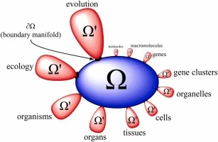 Constraint geometry and reachability in natural product bios