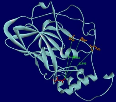 Homology model of the CueO enzyme from Escherichia sp. SFD3 generated using SWISS-MODEL based on the crystal structure of E. coli K12 multicopper oxidase CueO (SWISS-MODEL number: P36649.1.A). The substituted residue Asn78 (red) is located on the protein surface and is spatially separated from the c