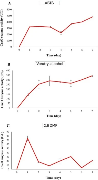 Oxidative activity of laccase-like multicopper oxidase (CueO) from Escherichia sp. SFD3 toward different model substrates. (A) Oxidation of ABTS. (B) Oxidation of veratryl alcohol. (C) Oxidation of 2,6-DMP.