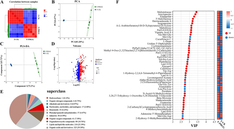 Metabolic profiles of PHGG fermented by C. butyricum. (A) Heatmap analysis of F-PHGG and F-CK samples. (B) Principal coordinate analysis (PCA) plot. (C) Cluster analysis of metabolites with partial least squares discriminant analysis (PLS-DA). (D) The volcanic plot of differential metabolites betwee