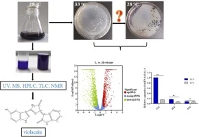 Genome-wide transcriptomic insights into temperature-driven
