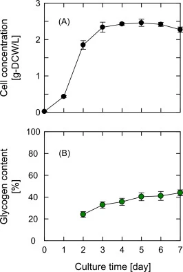 S. elongatus UTEX 2973光自养培养过程中(A)干细胞浓度和(B)糖原含量的时间进程。数据以8次独立实验的平均值和标准差表示。
