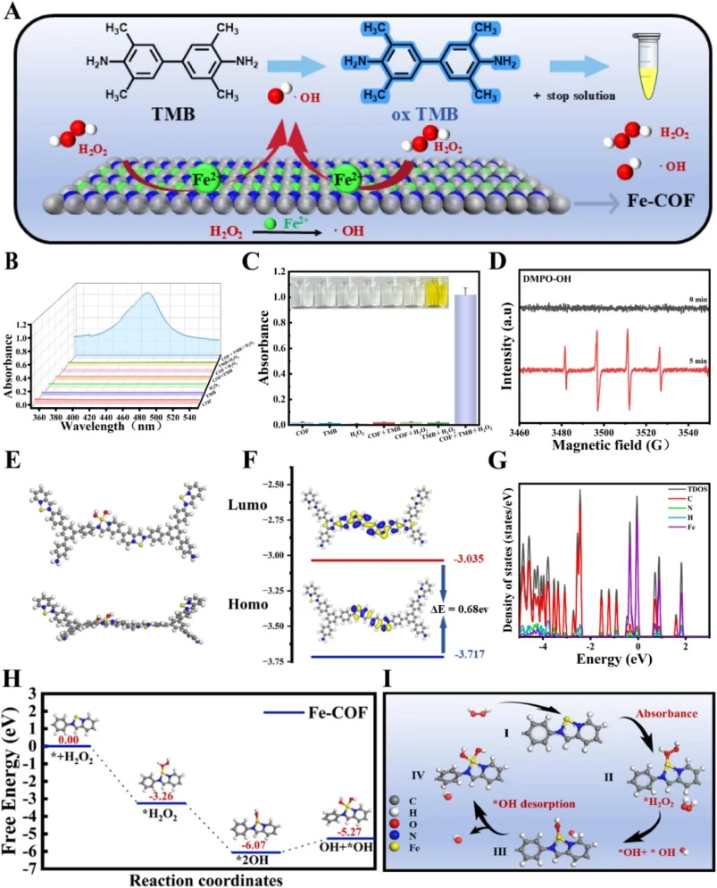 Peroxidase-like activity of Fe-COF. (A) An illustration of TMB oxidation by Fe-COF (B) Peroxidase-like activity of Fe-COF measured by UV–Vis absorption using TMB as a chromogenic reagent. (C) Absorbance measurements of different reactions at 450 nm. (D) EPR spectra of catalytic system. (E) Electron