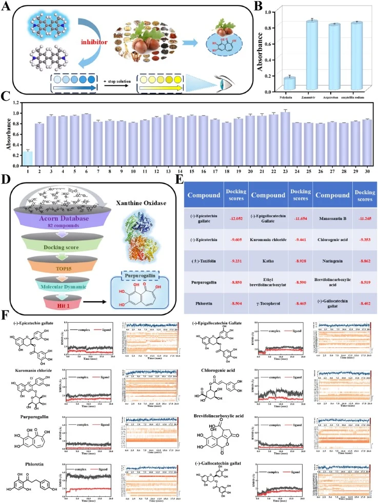 Computer-aided virtual screening was employed to identify XOD inhibitors from complex systems. (A) Colorimetric sensor schematic. (B) Effect of negative and positive drugs on XOD. (C) Screening results of thirty natural drugs by colorimetric sensing, (1-Acorn, 2-Forsythia, 3-Flos Magnoliae, 4-Angeli