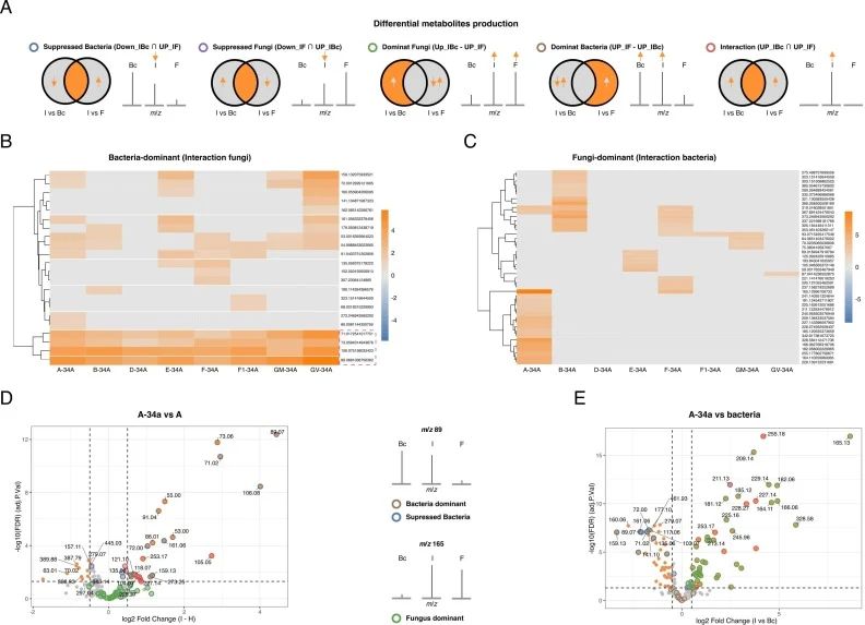 LTP-MS differential analysis of VOCs profiles in B. subtilis 34a–fungal co-cultures reveals a bidirectional metabolic interaction framework. (A) Classification framework defining five metabolite categories based on differential abundance across bacterial monoculture (Bc), co-culture (I), and fungal