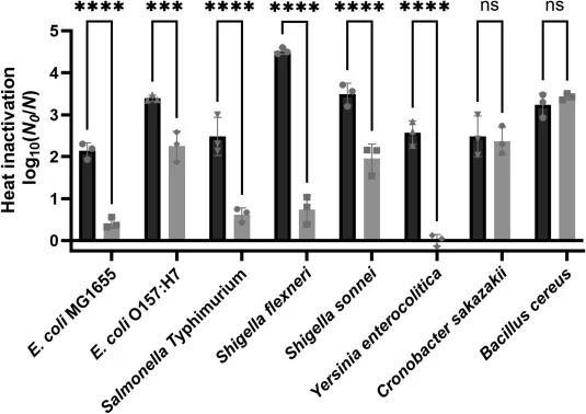 Mg 2+ -supplementation to the growth medium confers heat shock resistance to several enterobacterial foodborne pathogens. The mean logarithmic reduction factor, individual values of three biological replicates, and the SD after heat shock (15 min at 49 °C for Bacillus cereus ATCC 14579 and 51 °C for