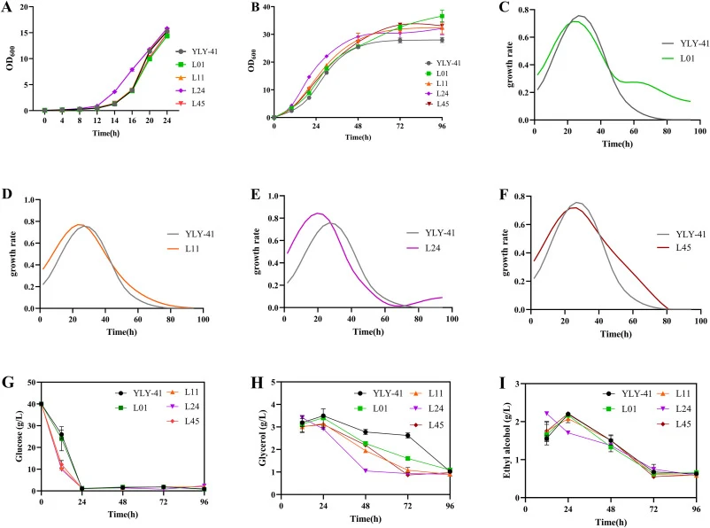 Growth kinetics and fermentation profiles of the engineered strains. (A) Growth curves of different strains in the lag phase; (B) Growth curves of different strains; (C)(D)(E)(F): Growth rate curves of different strains: specific growth rates (μ, h-1) of strains in shake-flask cultures. The μ values