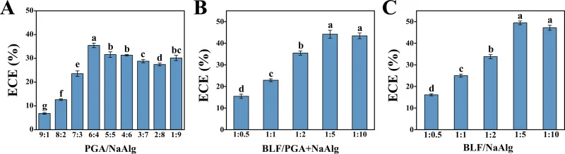 rBLF与γ-PGA/NaAlg之间ECE的测定。(A)不同γ-PGA与NaAlg比例下的ECE;(B)不同rBLF与(γ-PGA + NaAlg)比例下的ECE;(C)不同rBLF与NaAlg比例下的ECE。