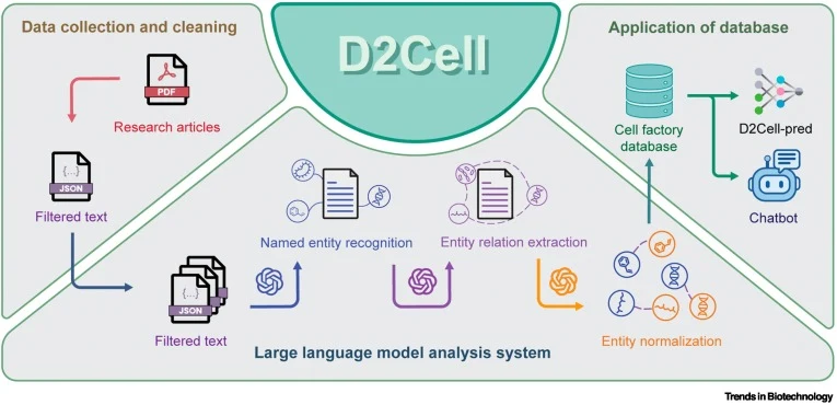 D2Cell用于细胞工厂分析的流程。该工作流包含三个模块