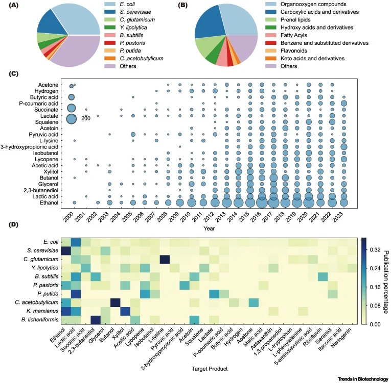 Overview of the D2Cell database. (A) Distribution of organisms in the database. (B) Distribution of product classes in the database. (C) Number of papers published from 2000 to 2023 for the top 20 products in the database. (D) Distribution of the top 30 products across the top ten organisms. Percent