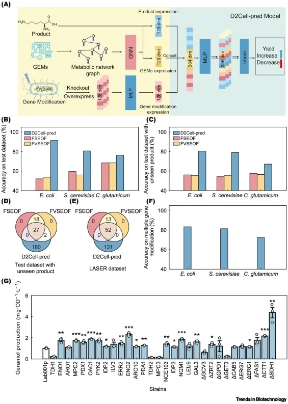 D2Cell-pred model architecture and performance. (A) D2Cell-pred model: the approach developed for predicting the impact of gene modifications on product yield. The input of the model is the product, the GEM structure of the organism, and the set of gene modifications. These inputs are encoded into 1
