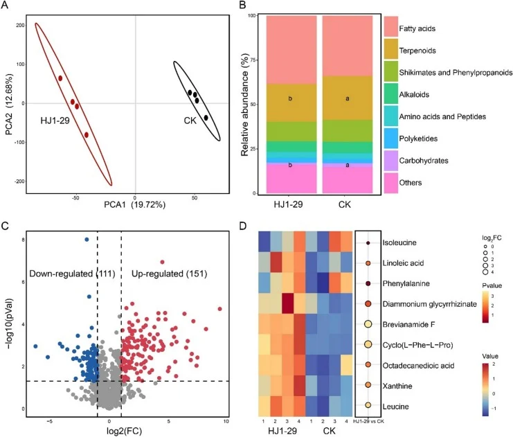 Comparative analysis of tobacco root exudates with and without B. subtilis HJ1-29 inoculation. A, Principal component analysis (PCA) of the effect of B. subtilis HJ1-29 on tobacco root exudate composition. B, Effect of strain HJ1-29 inoculation on the relative abundance of metabolite categories in t