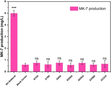 MK-7 titers in HepPPS-ΔmenA BL21(DE3) expressing wild-type BsMenA or alanine-substituted variants at conserved residues within or adjacent to the Asp-rich motifs. At least three independent replicates were carried out for each experiment, and the results are expressed as mean ± SD. Statistical analy