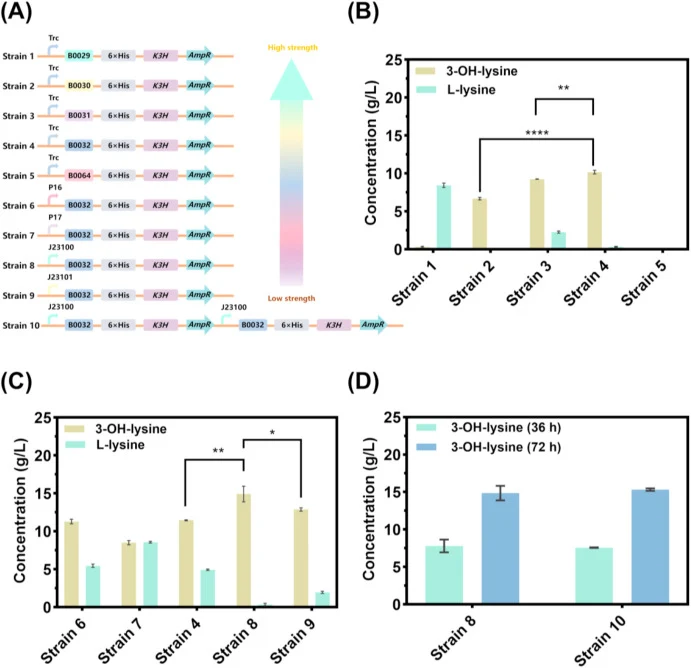 Optimization of K3H gene expression level. For each panel, only the indicated variable was varied, while all other genetic elements were held constant at their previously determined optimal configurations. (A) Genetic construction scheme for strains 1–10, with promoters and RBSs color-coded accordin