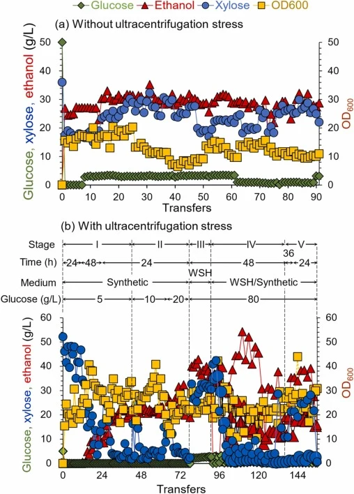 Adaptive evolution of S. cerevisiae Z100 using an ultracentrifugation-assisted protocol. (a) Adaptive evolution of S. cerevisiae Z100 without ultracentrifugation stress. The parental strain was transferred every 24 h in a 250 mL flask containing 30 mL of wheat straw hydrolysate (WSH) with 50 g/L of