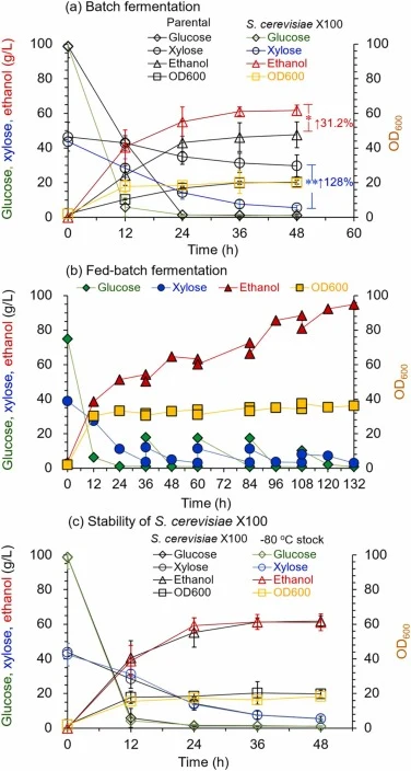 Fermentability evaluation of S. cerevisiae X100 using wheat straw hydrolysate and syrup. (a) Batch fermentation with S. cerevisiae Z100 as a control; Data are presented as mean ± SD (n = 3 independent biological replicates). (b) Single-run fed-batch fermentation of S. cerevisiae X100 using wheat str