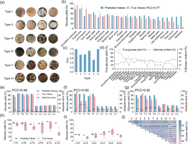 Validation of the LAM-Pre against multiple challenges. (a) A total of 24 biomasses in six types used to perform the validation were selected. Type I is agricultural residues with corn stover, rice husk, sorghum husk, and sorghum stalks, respectively. Type II is wood and wood chips with pine wood, ce