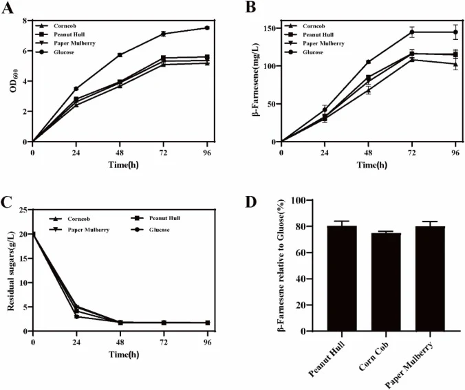 β-Farnesene production using the sugars derived from pretreated agricultural biomass. (A) Cell growth represented by OD600; (B) Time-course β-farnesene production using filtered hydrolysates of pretreated peanut hull, corncob, and paper mulberry as carbon sources, with glucose as the control; (C) Re