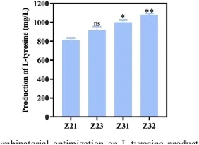 组合优化对L-酪氨酸产量的影响。*(p < 0.05)和**(p < 0.01)表示与对照菌株Z21相比的显著性水平,ns表示无显著差异。