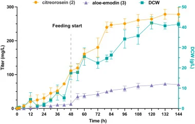 Scalable co-production of citreorosein (2) and aloe-emodin (3) via fed-batch fermentation. Time-course profiles of citreorosein (2), aloe-emodin (3), and dry cell weight (DCW) during the fermentation of strain sNN52 in a 1-L bioreactor. Titers of 2 and 3 are plotted on the left y-axis, while DCW is