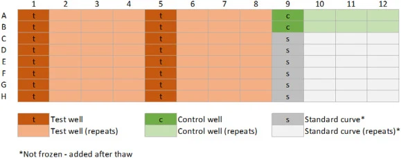 Layout of the 96-well plate used in the MTT cryopreservation assay. Each experiment tests 16 different concentrations in 4 replicates (shaded), with control wells and a 6-point standard curve typically occupying columns 9 to 12. The standard curve is added post-thaw, after initial filling with disti