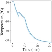 Representative cooling profile of the 96-well plate during freezing. The temperature profiles indicate four 0.2 mL saline diluent (0.15 M) samples placed in PCR strips in a Corning CoolRack XT PCR96 and exposed to −70 °C from room temperature of 21 °C. Ice nucleation is indicated by the sharp increa