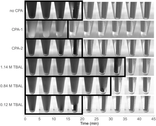 Sequential images during warming of 0.2 mL solutions (n = 4) containing 1.14, 0.84, or 0.12 M TBAL (all with 70 mM saline diluent) or controls (no CPA, CPA-1, CPA-2) after transfer from −70 °C to room temperature, 21 °C, (time zero) and at 5 min intervals; images with visible crystals are outlined.