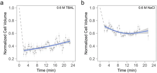 Shrink swell assay showing the time course of relative cell volume of log-phase S. cerevisiae cells after exposure to either 0.6 M TBAL or 0.6 M NaCl. Quantification of cell volumes was performed using segmented microscopy images from a machine learning pixel and object classification model. Each po