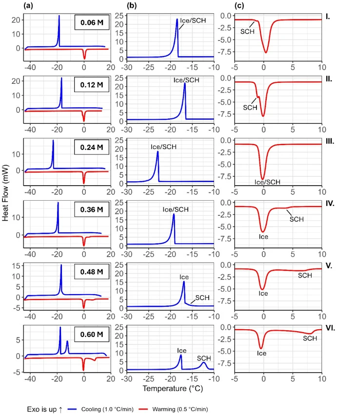DSC thermograms showing (a) the overall profile, (b) a close up of the cooling profile and (c) a close up of the warming profile for (I) 0.06 M TBAL, (II) 0.12 M TBAL, (III) 0.24 M TBAL, (IV) 0.36 M TBAL, (V) 0.48 M TBAL and (VI) 0.60 M TBAL. Peaks are labelled as either being attributed to ice or s