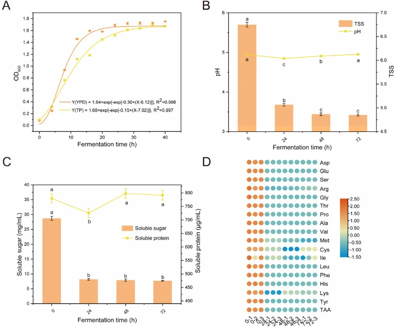 (A) Growth curves of S. cerevisiae M01 and corresponding Gompertz fit; (B) Changes in pH and total soluble solids (TSS) content during fermentation; (C) Changes in soluble sugar and protein content during fermentation; (D) Changes in free amino acid contents during fermentation. Different letters in