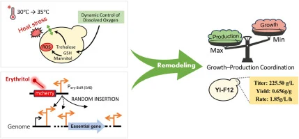 Iterative dissolved-oxygen control combined with growth–prod