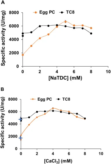 递增浓度 NaTDC 和 CaCl2 对 rFAL 活性的影响。(A) 以 TC8 或 egg PC 为底物时,在 4 mM CaCl2 存在下,递增浓度 NaTDC 对 rFAL 活性的影响。(B)