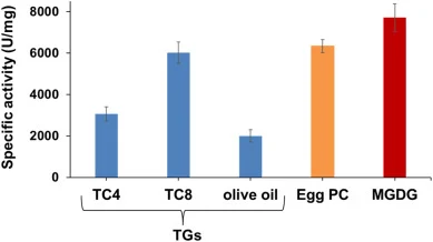 纯化rFAL的底物特异性谱。按材料与方法所述,在标准条件下,以TC4、TC8、橄榄油、蛋黄PC或MGDG乳液为底物测定比活性。