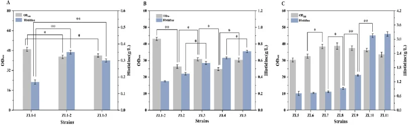 Stepwise optimization of the l-histidine pathway in E. coli. Effects on l-histidine titer and biomass (OD600). (A) Feedback relief via integrated hisG variants (P trc ) at yciQ: wild-type hisG from S. marcescens (ZL1-1), mutant hisG∗ smar (ZL1-2), and hisG cgl S143F (ZL1-3). l-histidine titer and fi