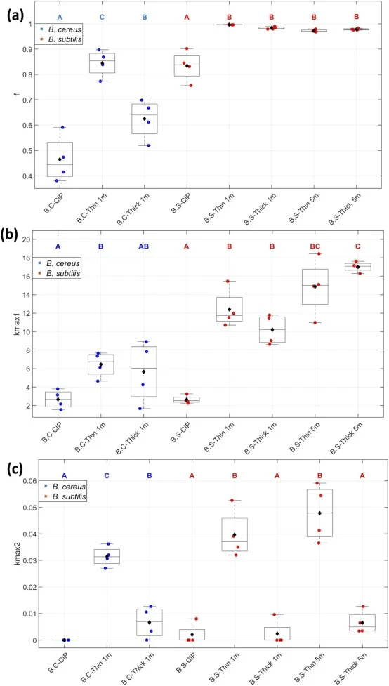 Kinetic parameters obtained from the biphasic fitting of spore removal kinetics under foam and CIP conditions: (a) f, corresponding to the fraction removed during the first rapid phase; (b) k max1 , corresponding to the first rapid phase; (c) k max2 , corresponding to the slower second phase. Data f