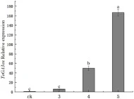 Relative expression levels of TeGA3ox in different N. tabacum lines . 3–5 Three different lines of transgenic N. tabacum. Values are mean ± SD (P < 0.05).