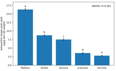 Effect of different carbon sources on the wet-biomass-normalized yield of the astaxanthin target peak. Maltose, xylose, glucose, α-lactose and sucrose were each tested at 10 g/L. Data are shown as mean ± standard deviation (n = 3). Different letters indicate statistically significant differences (P