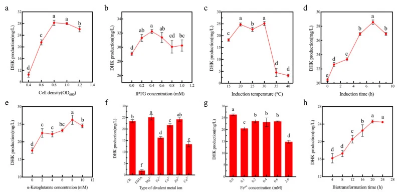 Optimization of whole-cell biotransformation conditions for DHK production. (a) Cell density. (b) Final IPTG concentration. (c) Induction temperature. (d) Induction time. (e) Final α-ketoglutarate concentration. (f) Type of divalent metal ion. (g) Divalent metal ion concentration. (h) Biotransformat