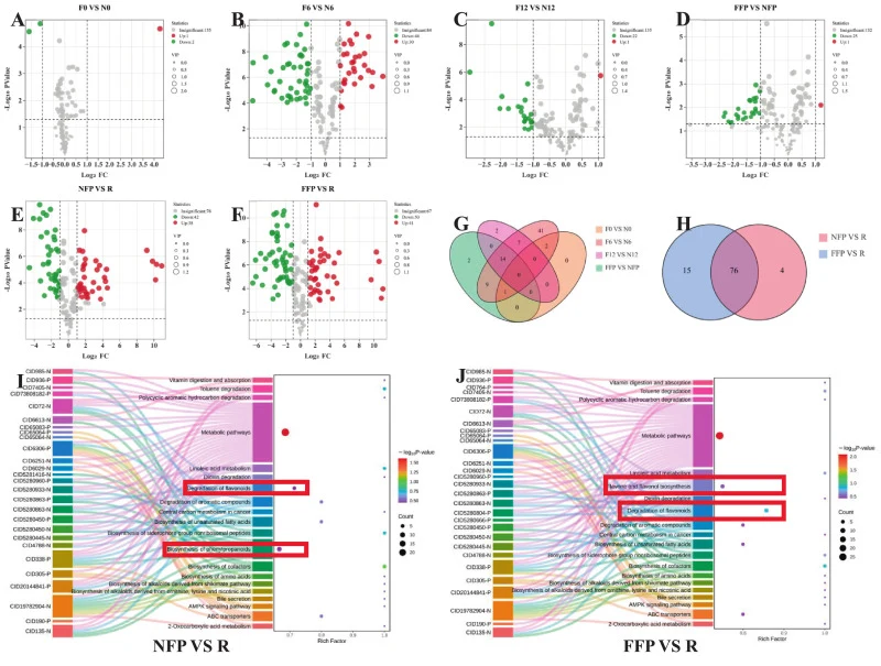 Analysis of differential non-volatile metabolites. Volcano plots (A-F), Venn diagrams (G-H), Pathway cluster analysis of unique metabolites from NFP vs. R and FFP vs. R comparisons (I-J). R, raw dark tea; F0, OA3 inoculated fermentation at 0 days; F6, OA3 inoculated fermentation at 6 days; F12, OA3