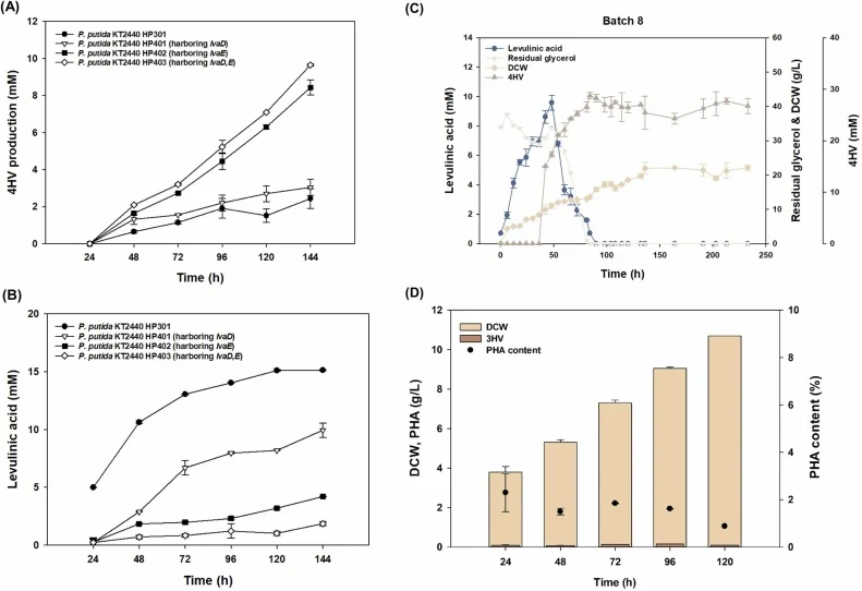 Production of 4HV from glycerol in P. putida KT2440 (A) 4HV production from glycerol depending on the lvaD and lvaE introduction (B) Comparison of intermediate LA production (C) Fed-batch fermentation for 4HV production by P. putida KT2440 HP403 (D) PHA analysis in P. putida KT2440 HP403. Statistica