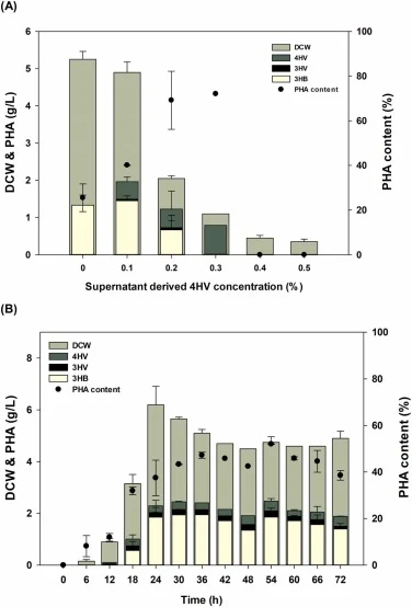 P(3HB- co -3HV- co -4HV) synthesis using 4HV in C. necator derived from P. putida KT2440 (A) PHA synthesis depending on 4HV concentration produced by P. putida KT2400 HP403 culture (B) Time dependent monitoring of P(3HB-co-3HV-co-4HV) terpolymer synthesis using P. putida KT2440 HP403 culture.