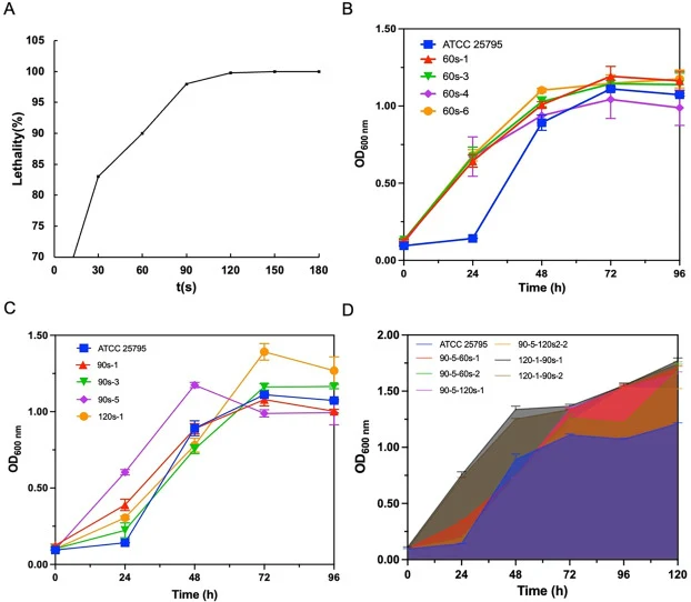 ARTP mutagenesis and growth characterization of M. neoaurum ATCC 25795. (A) Lethality of ATCC 25795 under different ARTP exposure times (0–180 s). Lethality exceeded 90% at 60 s and approached 100% at ≥ 90 s. (B, C) Growth curves of first-round mutants cultivated in 96-well plates (150 μL M7H9, 37 °