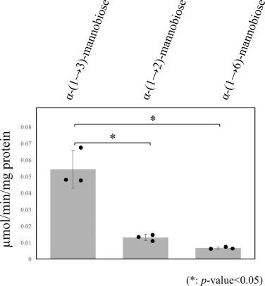 Substrate specificity of Mnt2p. A reaction mixture (40 μL) containing 25 mM HEPES-NaOH (pH 6.8), 50 mM NaCl, 15 mM KCl, 2.5% glycerol, 1 mM MnCl2, 5 mM GDP-Man (donor substrate), 1.63 μg of purified Mnt2p, and 2.5 mM α-(1→2)-mannobiose, α-(1→6)-mannobiose, or α-(1→3)-mannobiose (acceptor substrates)