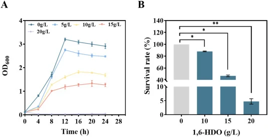Effects of various concentrations of 1,6-HDO on the growth and viability of E. coli KA-12 (AG1). Growth curves (A) and survival rates (B) of E. coli KA-12 (AG1) exposed to different concentrations of 1,6-HDO. Data are presented as mean ± SD from three independent biological replicates, *p < 0.05, **