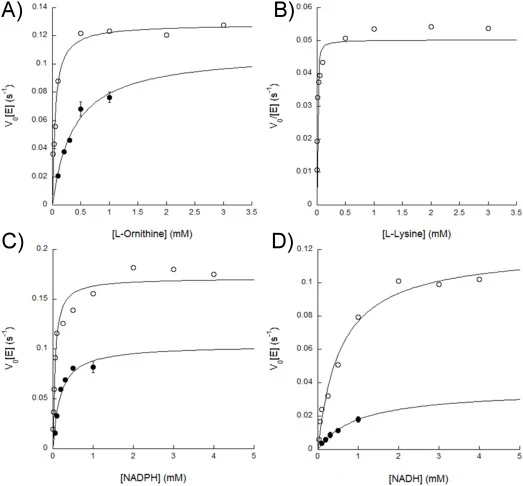 Ornithine (A), lysine (B), NADPH (C) and NADH (D) saturation curves as determined by the product formation (●) and oxygen consumption assays (○).Enzymatic reactions with TheA were performed at room temperature for 15 min in 100 mM sodium phosphate buffer. 2 mM NADPH was used when varying substrate c