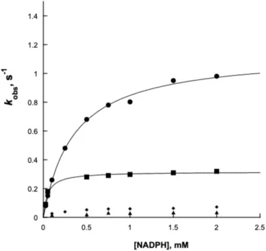 TheA reduction by NADPH. The absorbance changes at 450 nm were fit to Equation (2). The fast phase (k obs1) at various NADPH concentrations in the absence (⚫︎) and presence (◼️) of 10 mM L-ornithine. The k obs2 in the absence (▲) and presence (♦) of 10 mM L-ornithine was fitted as well.