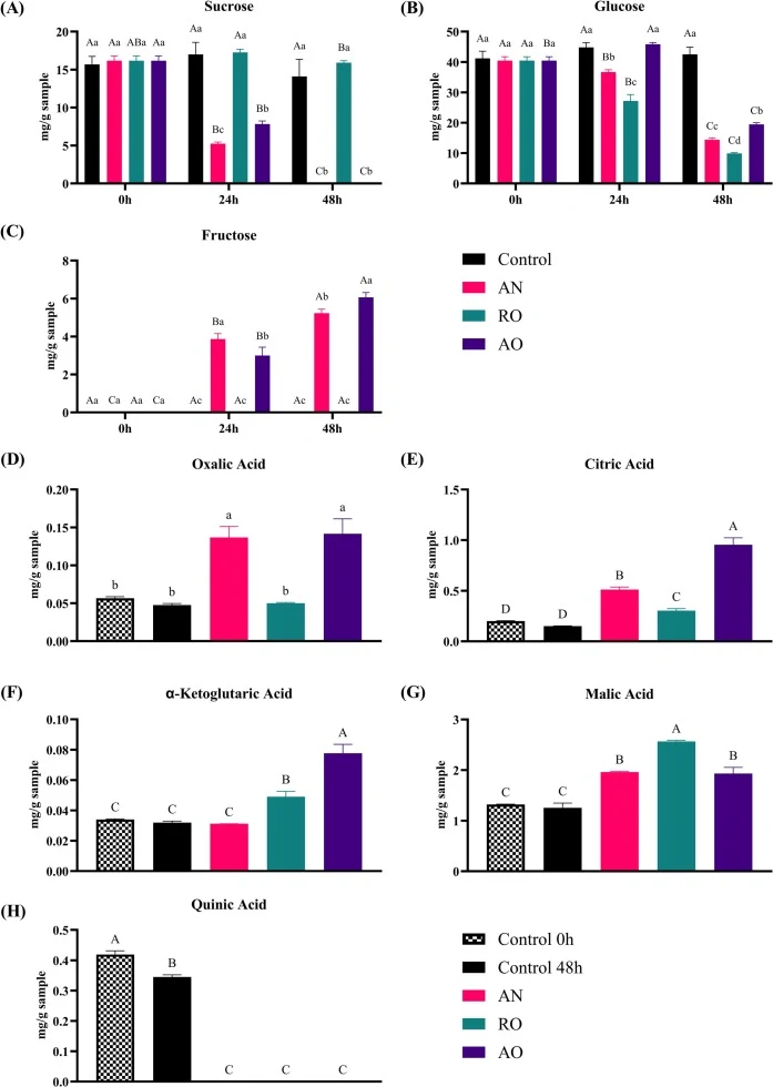 Concentration of free sugars and organic acids: (A) sucrose, (B) glucose, (C) fructose, (D) oxalic acid, (E) citric acid, (F) α-ketoglutaric acid, (G) malic acid and (H) quinic acid of fermented MSKs at 30 °C for 48 h. Control: uninoculated MSK; AN: Aspergillus niger; RO: Rhizopus oligosporus; AO: A