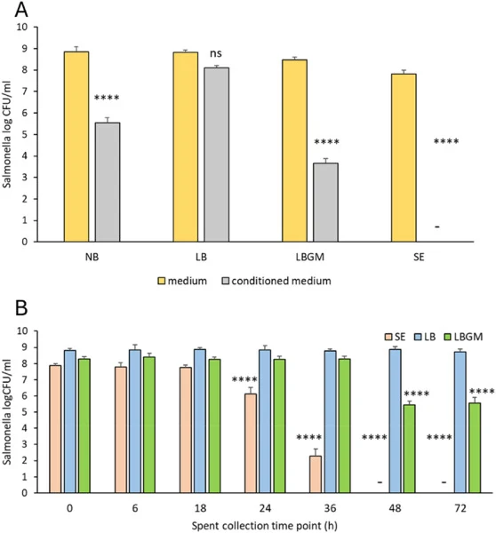 Anti-Salmonella activity of B. velezensis BX77 conditioned medium. (A) Effect of growth substrate. Salmonella was grown in each of the tested media (fresh or CM-derived); statistical comparisons were performed between the fresh medium and conditioned medium within each group (**P < 0.0001; ns, P > 0